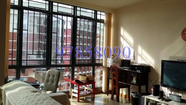 Central View (D19), Condominium #153786442